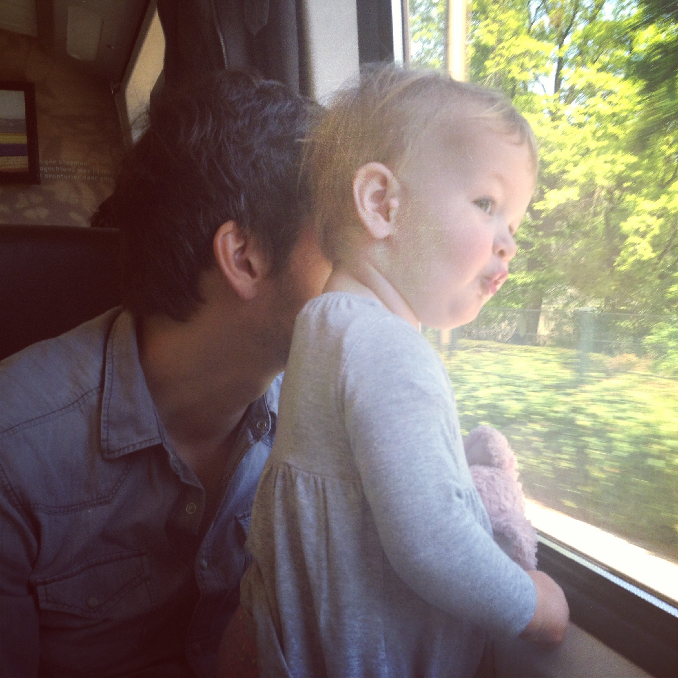 Tara trein